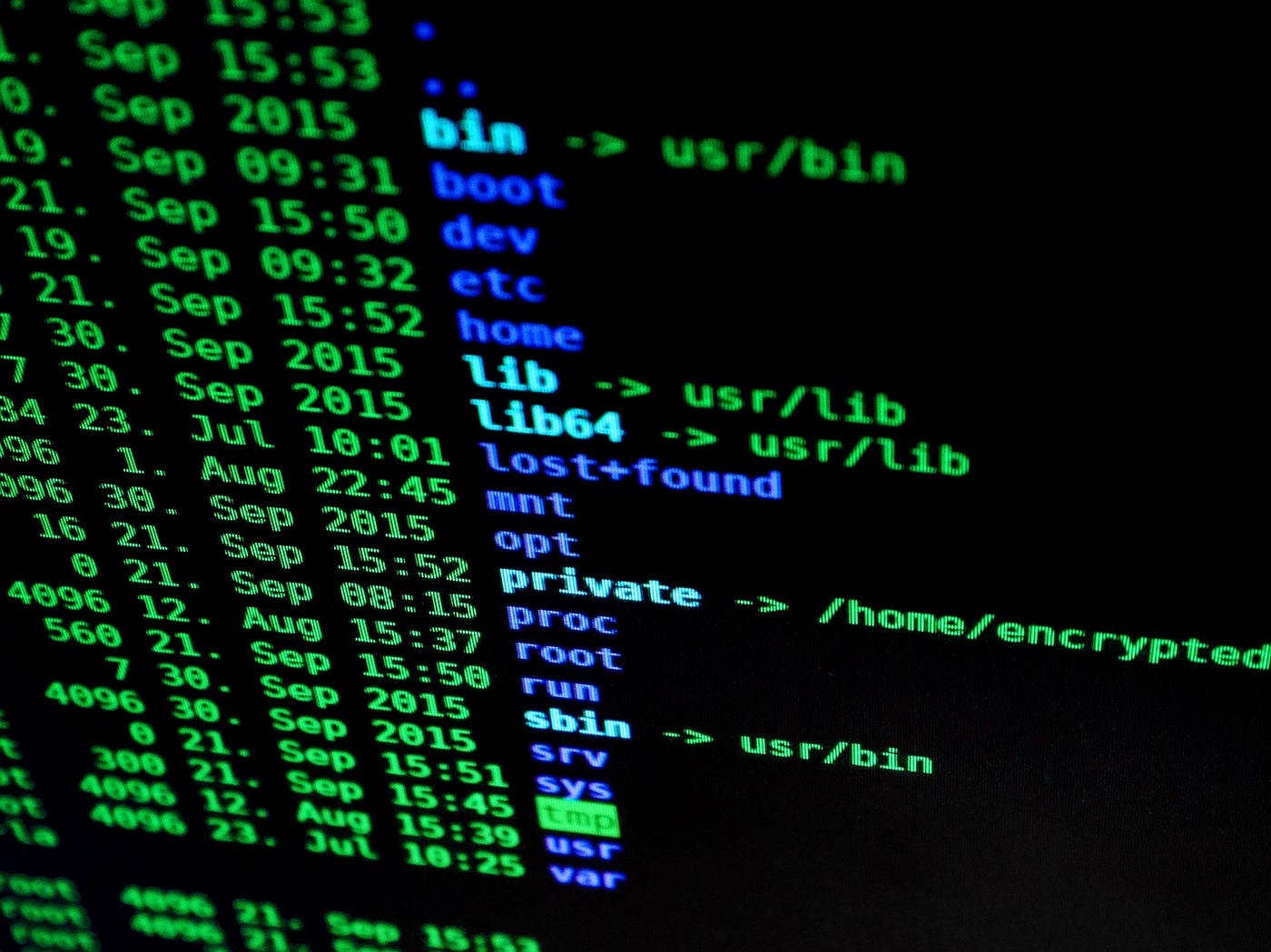 Green text of a computer file directory listing on a dark screen